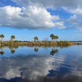 Review photo of Tomoka State Park Campground by Denise , January 6, 2022