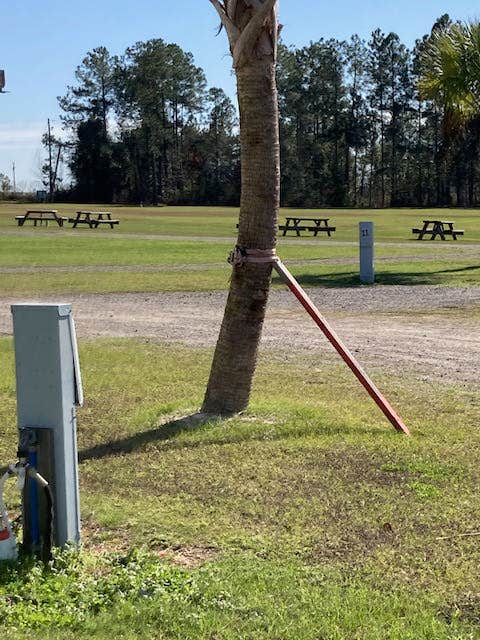 Camper-submitted photo at Carroll's Country Sausage near Fitzgerald, GA