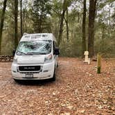 Review photo of Suwannee River State Park Campground by Denise , January 6, 2022
