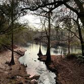 Review photo of Suwannee River State Park Campground by Denise , January 6, 2022