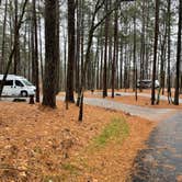 Review photo of Red Top Mountain State Park Campground by Denise , January 6, 2022