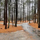 Review photo of Red Top Mountain State Park Campground by Denise , January 6, 2022