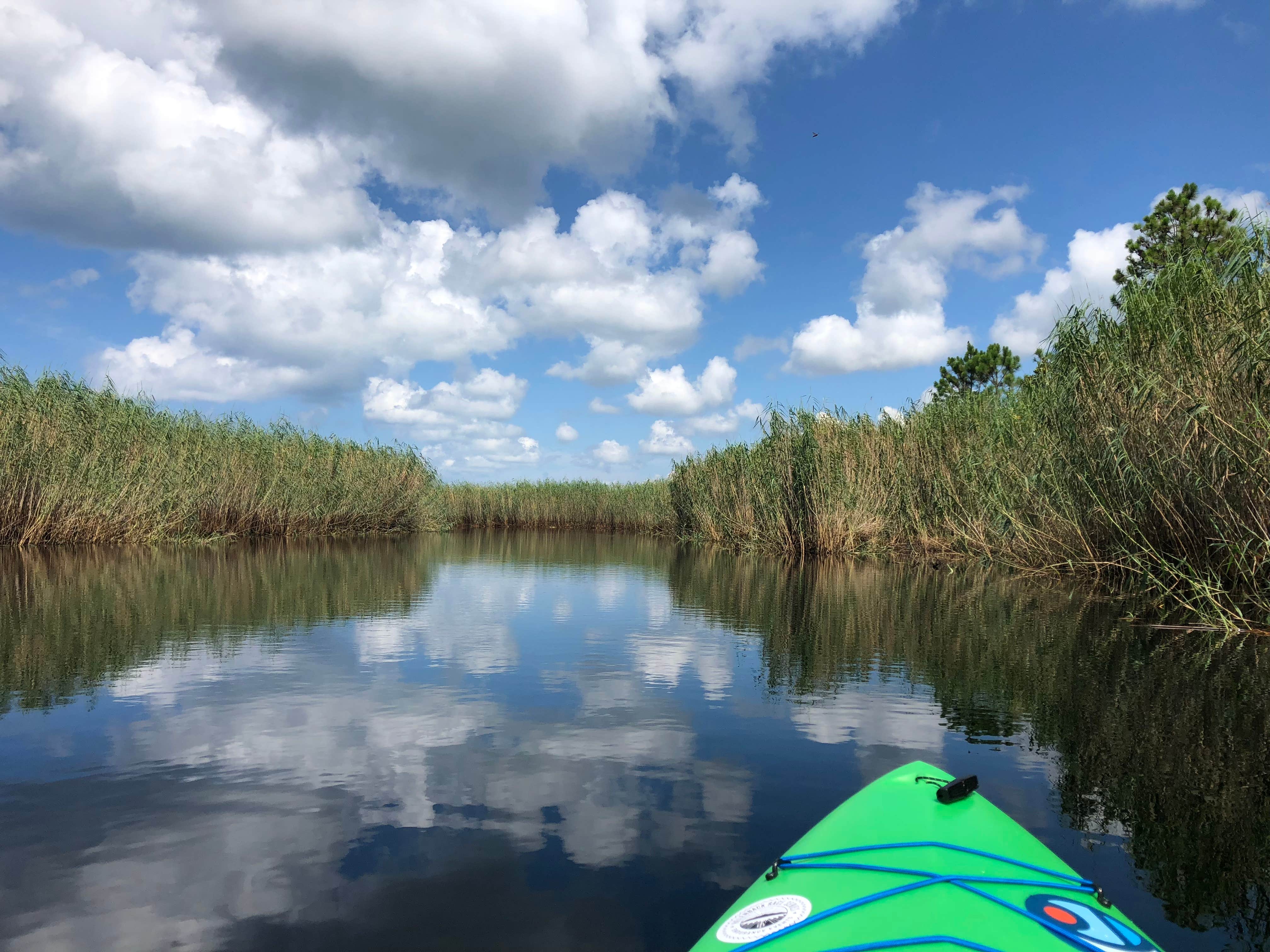 Camper submitted image from Grayton Beach State Park Campground - 5