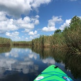 Review photo of Grayton Beach State Park Campground by K C., July 9, 2018
