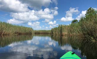 K C.'s photo at Grayton Beach State Park Campground near Santa Rosa Beach, FL