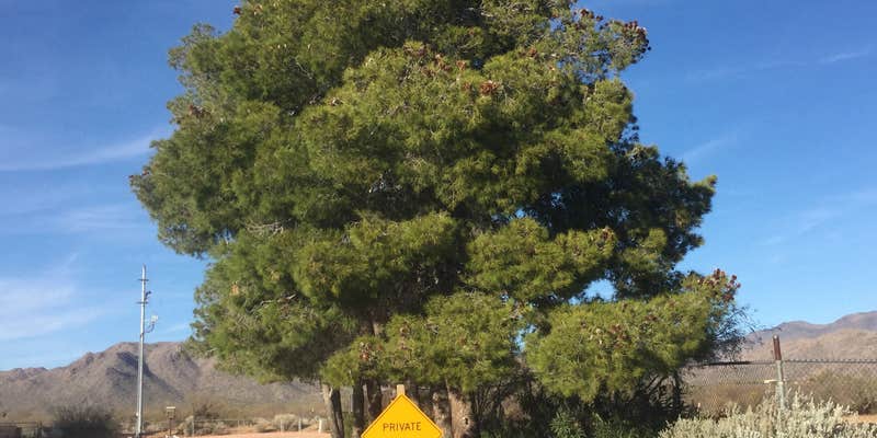 Camper submitted image from Kmj Rentals