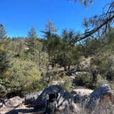 Review photo of Chilao Campground by Swan R., January 7, 2022