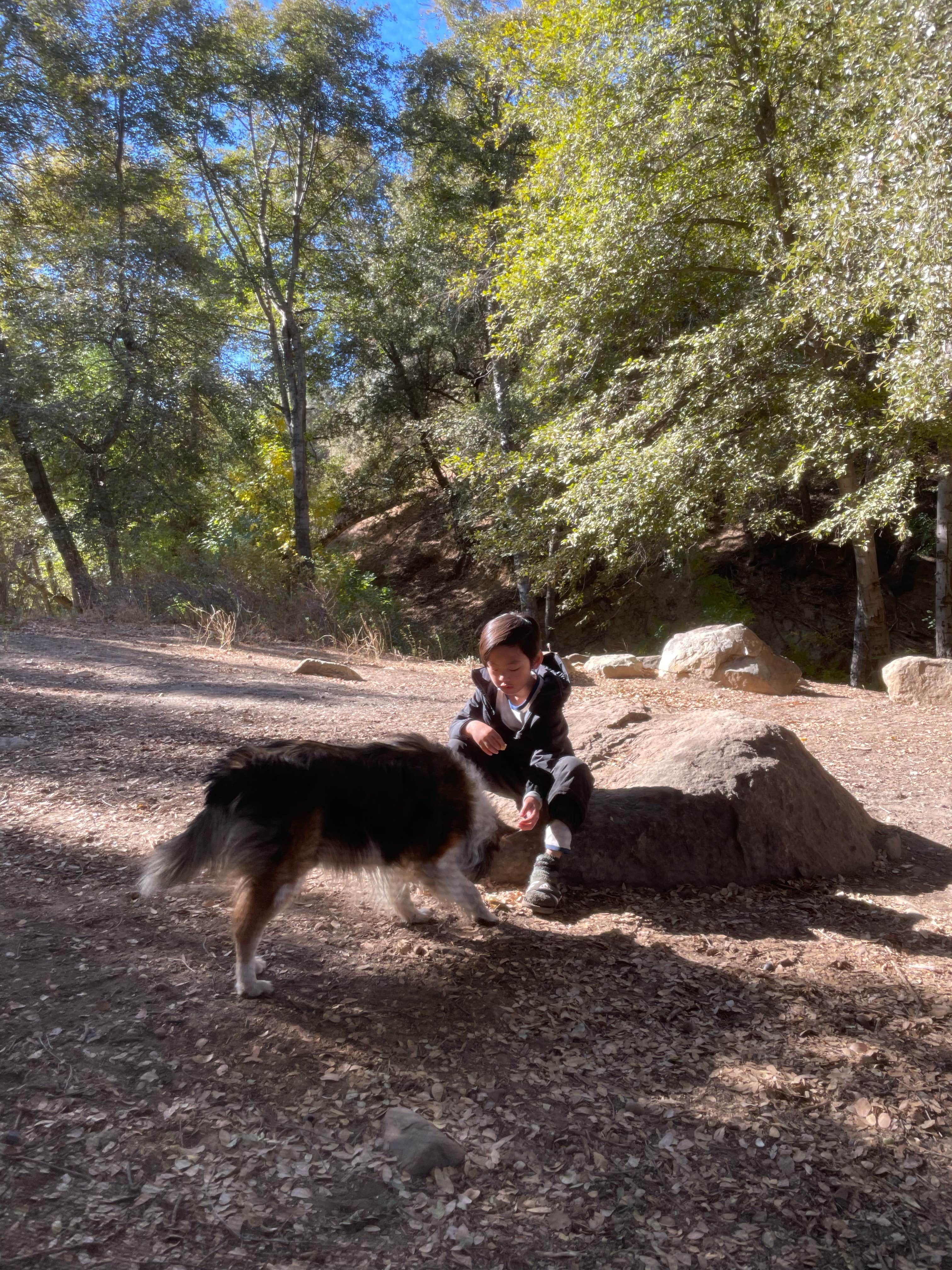 Swan R.'s photo of camping with pets at Reyes Creek Campground near Frazier Park, CA