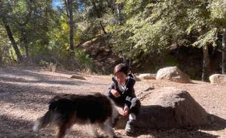 Swan R.'s photo of camping with pets at Reyes Creek Campground near Los Padres National Forest