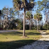 Review photo of Skidaway Island State Park Campground by Katrin M., January 7, 2022