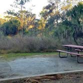 Review photo of Skidaway Island State Park Campground by Katrin M., January 7, 2022