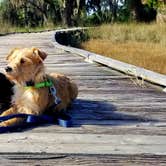 Review photo of Skidaway Island State Park Campground by Katrin M., January 7, 2022