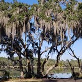 Review photo of Skidaway Island State Park Campground by Katrin M., January 7, 2022