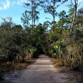 Review photo of Skidaway Island State Park Campground by Katrin M., January 7, 2022