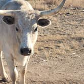 Review photo of Red Arroyo Campground by Bruce , January 7, 2022