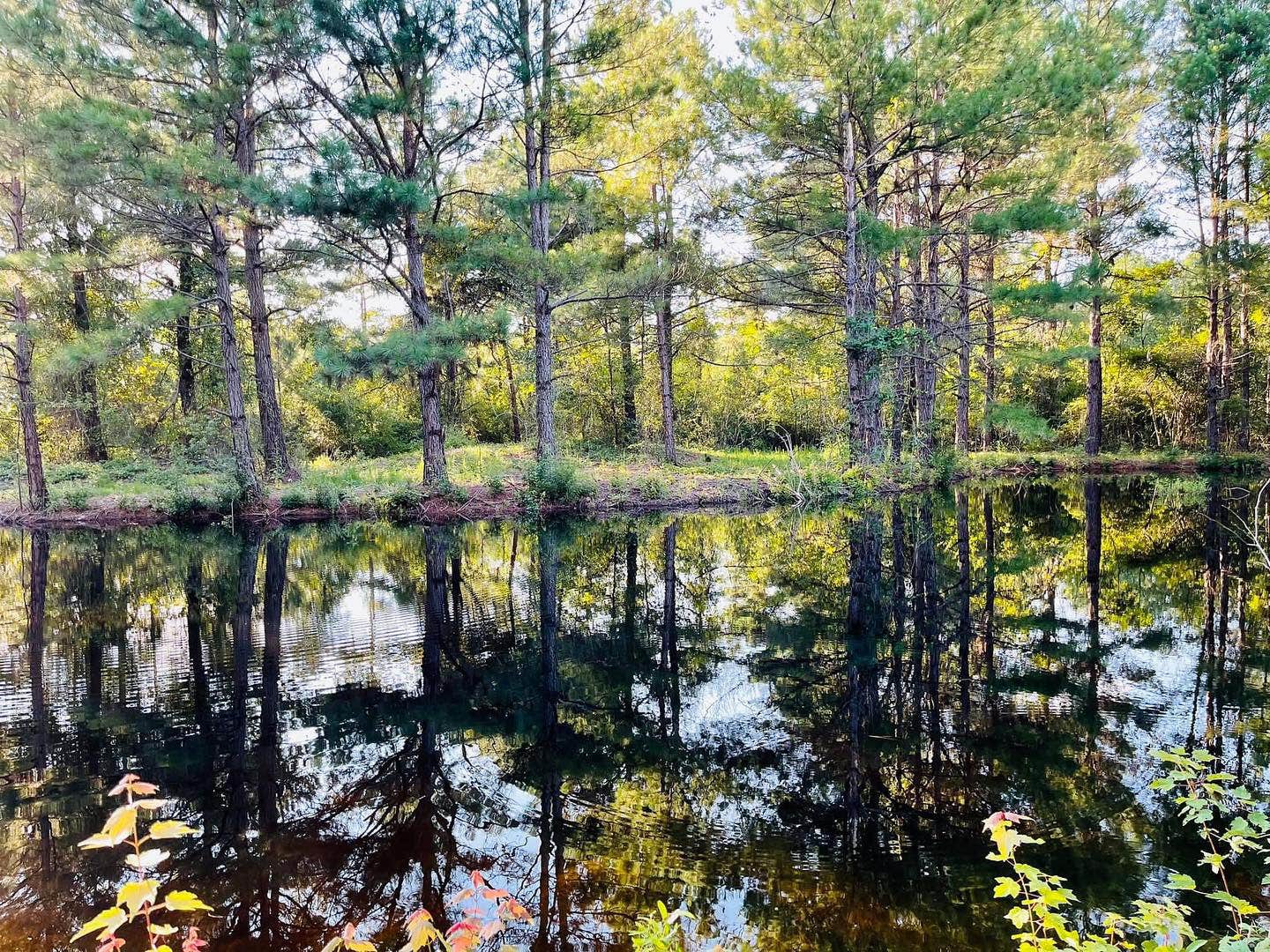 Camper-submitted photo at Sandy Ridge Campground & RV Resort near Harrells, NC