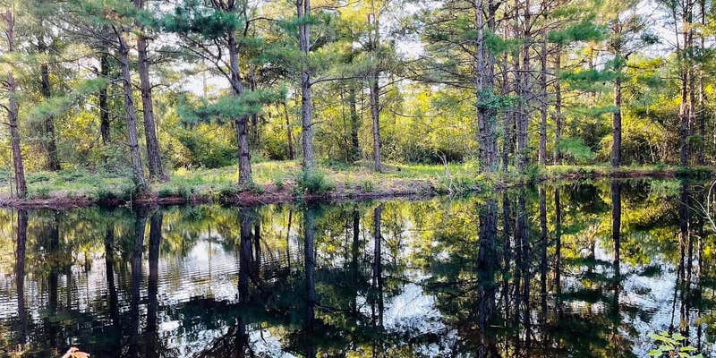 Camper submitted image from Sandy Ridge Campground & RV Resort