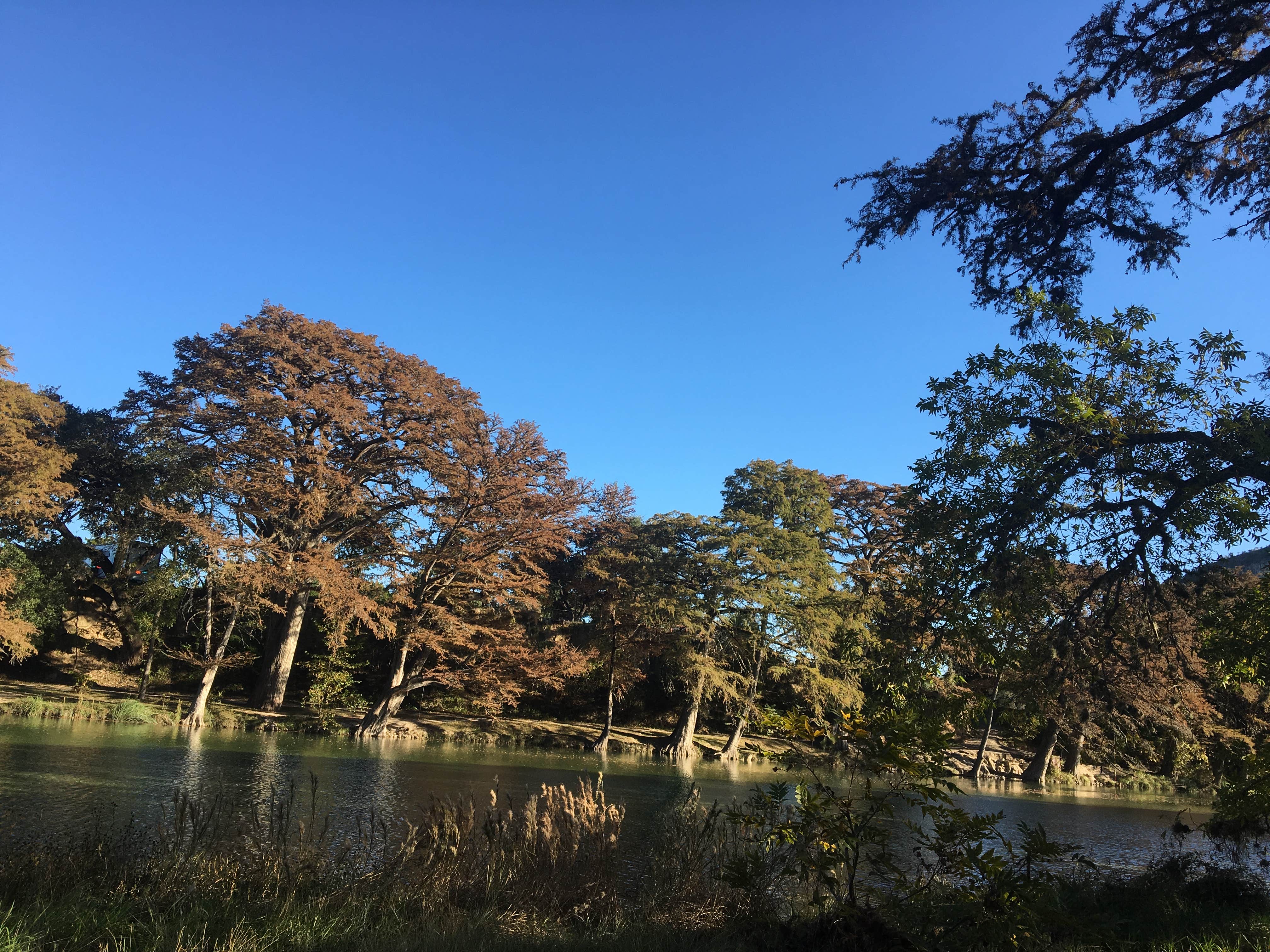 Camper-submitted photo at Persimmon Hill — Garner State Park near Vanderpool, TX