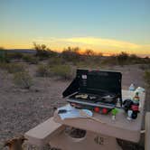 Review photo of Painted Rock Petroglyph Site And Campground by Steve N., January 7, 2022