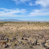 Review photo of Painted Rock Petroglyph Site And Campground by Steve N., January 7, 2022