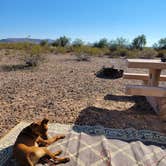 Review photo of Painted Rock Petroglyph Site And Campground by Steve N., January 7, 2022