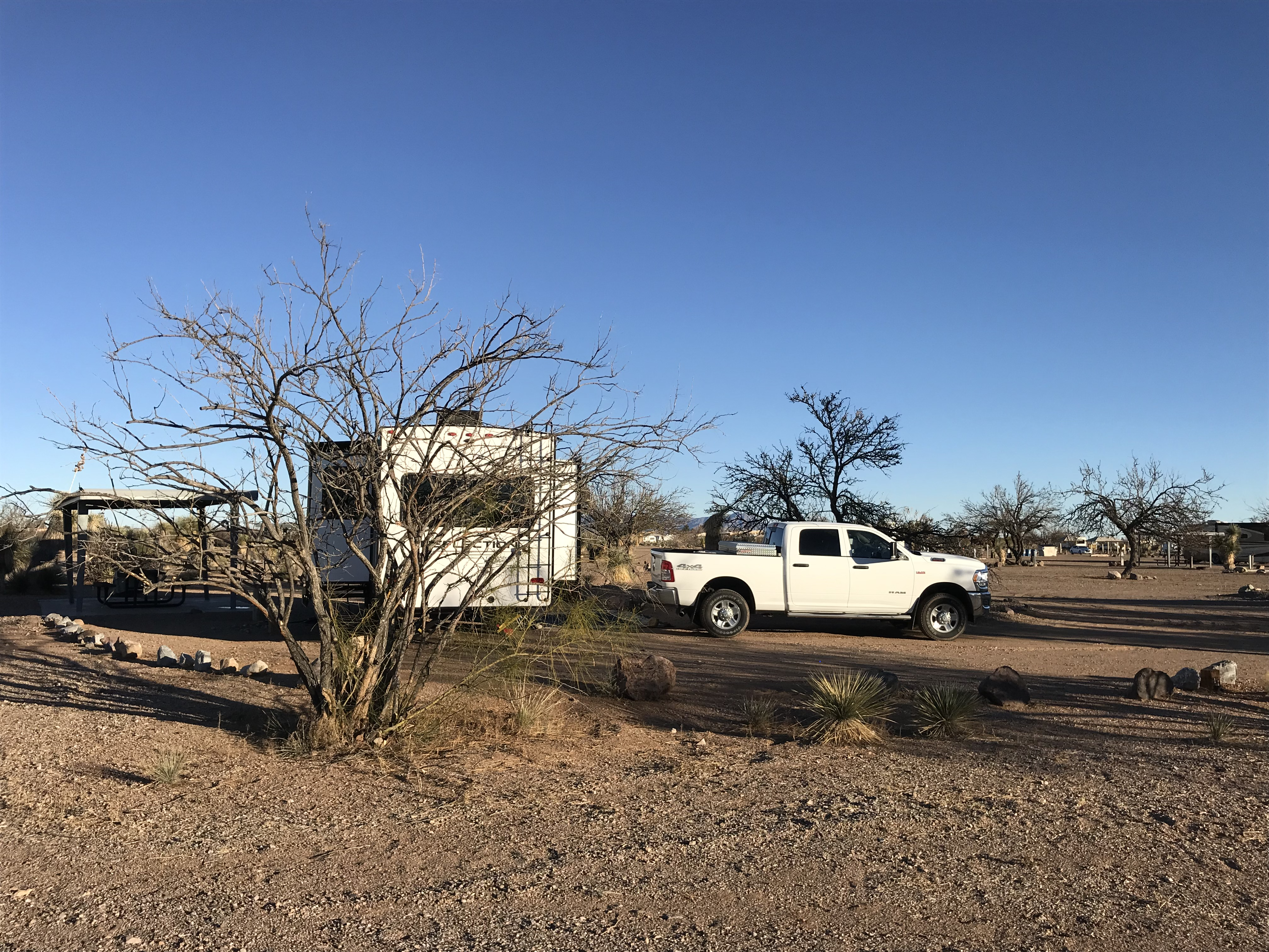Camper submitted image from Pancho Villa State Park Campground - 4