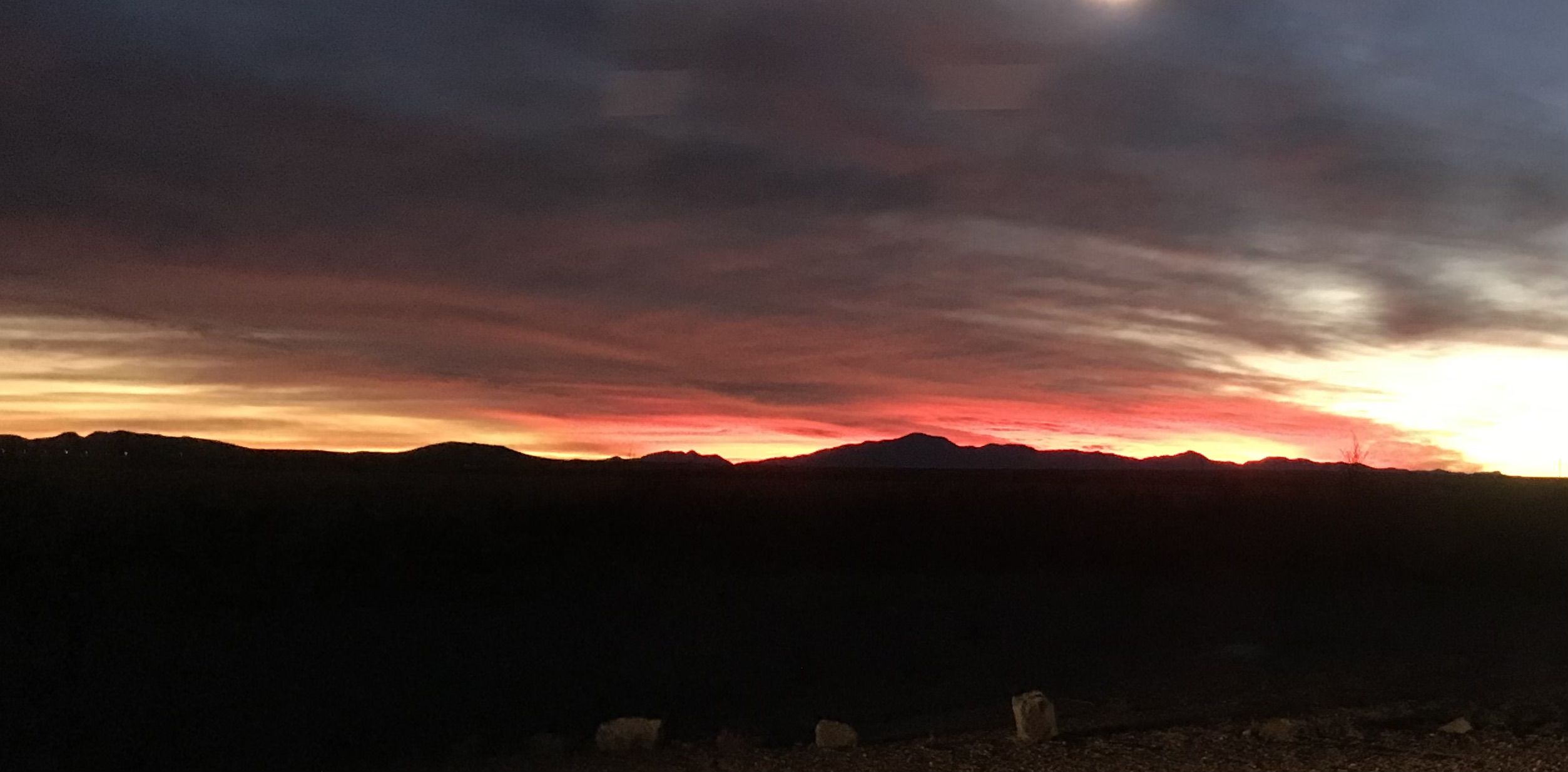 Camper-submitted photo at Pancho Villa State Park Campground near Columbus, NM