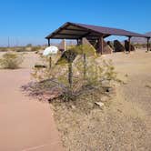 Review photo of Painted Rock Petroglyph Site And Campground by Steve N., January 7, 2022