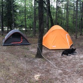 Review photo of Jewell Lake Campground by Halie C., July 9, 2018