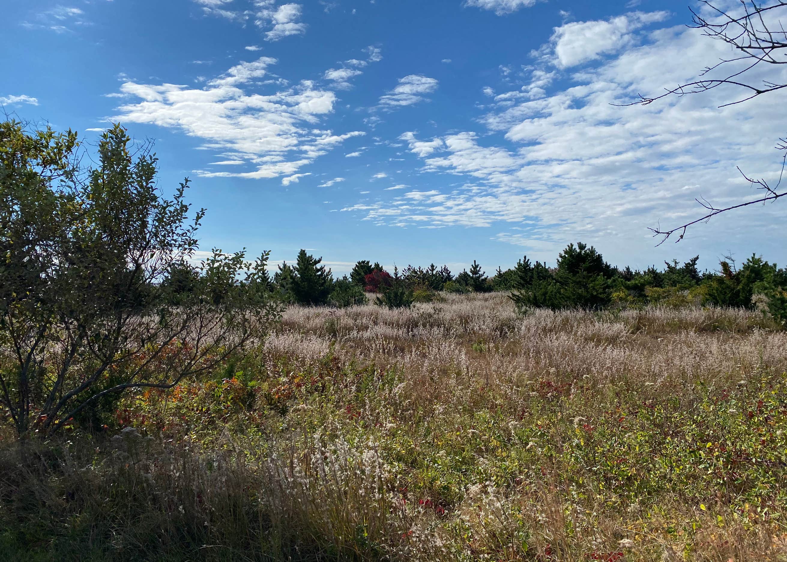 heckscher state park bike trail