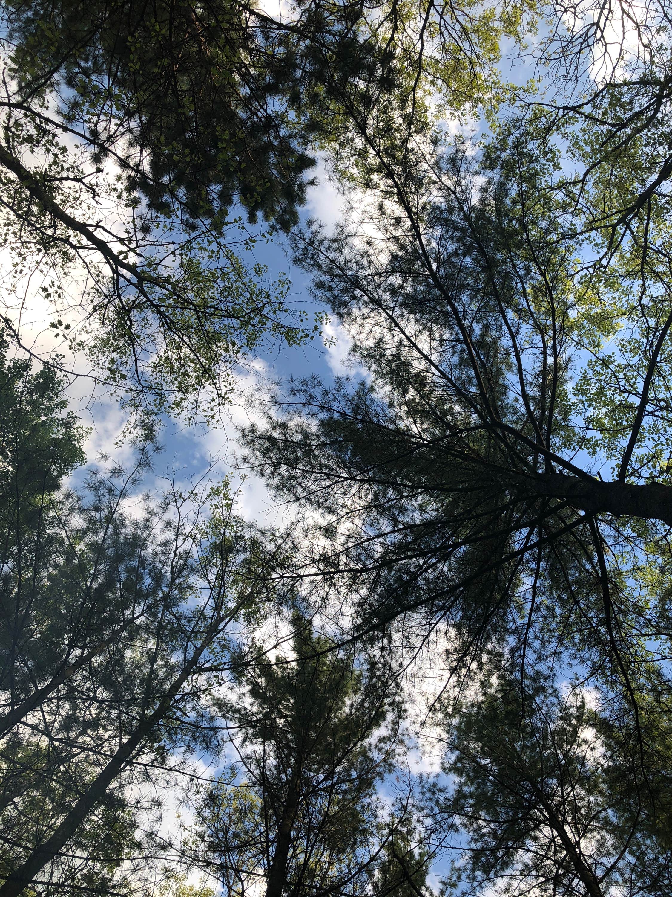 Jewell Lake Campground Barton City, MI