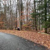 Review photo of Stokes State Forest by W L., January 8, 2022