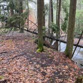 Review photo of Stokes State Forest by W L., January 8, 2022