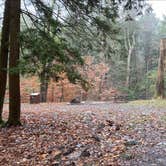 Review photo of Stokes State Forest by W L., January 8, 2022