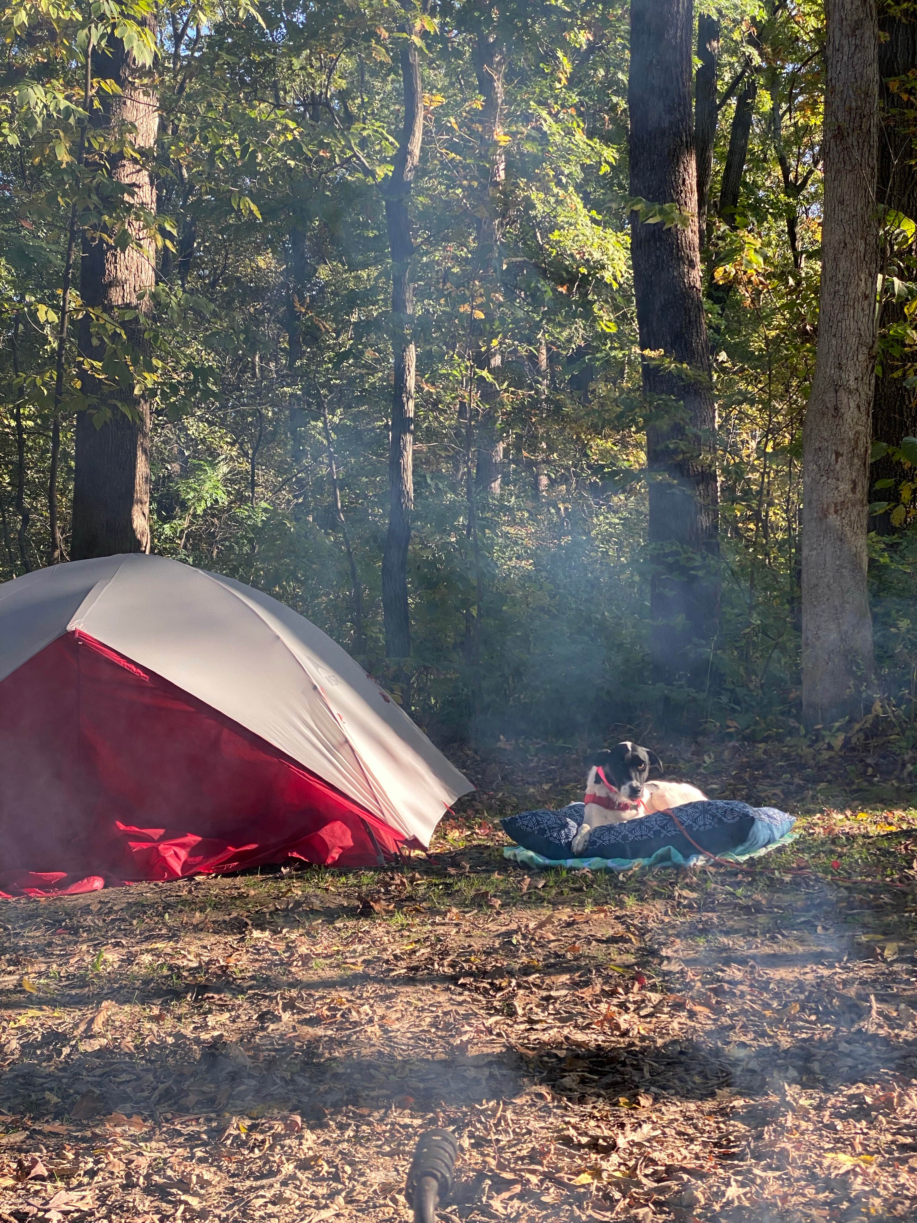Mike's photo at Nelson Dewey State Park Campground near Dundee, IA