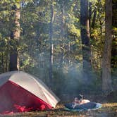 Review photo of Nelson Dewey State Park Campground by Mike , January 8, 2022