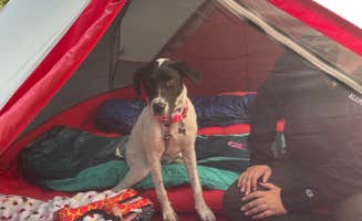 Mike's photo of camping with pets at Nelson Dewey State Park Campground near Prairie du Chien, WI
