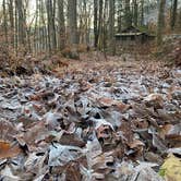 Review photo of Stokes State Forest by W L., January 8, 2022