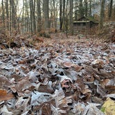 Review photo of Stokes State Forest by W L., January 8, 2022