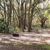 Review photo of Green Swamp — Hampton Tract by Anita , January 8, 2022