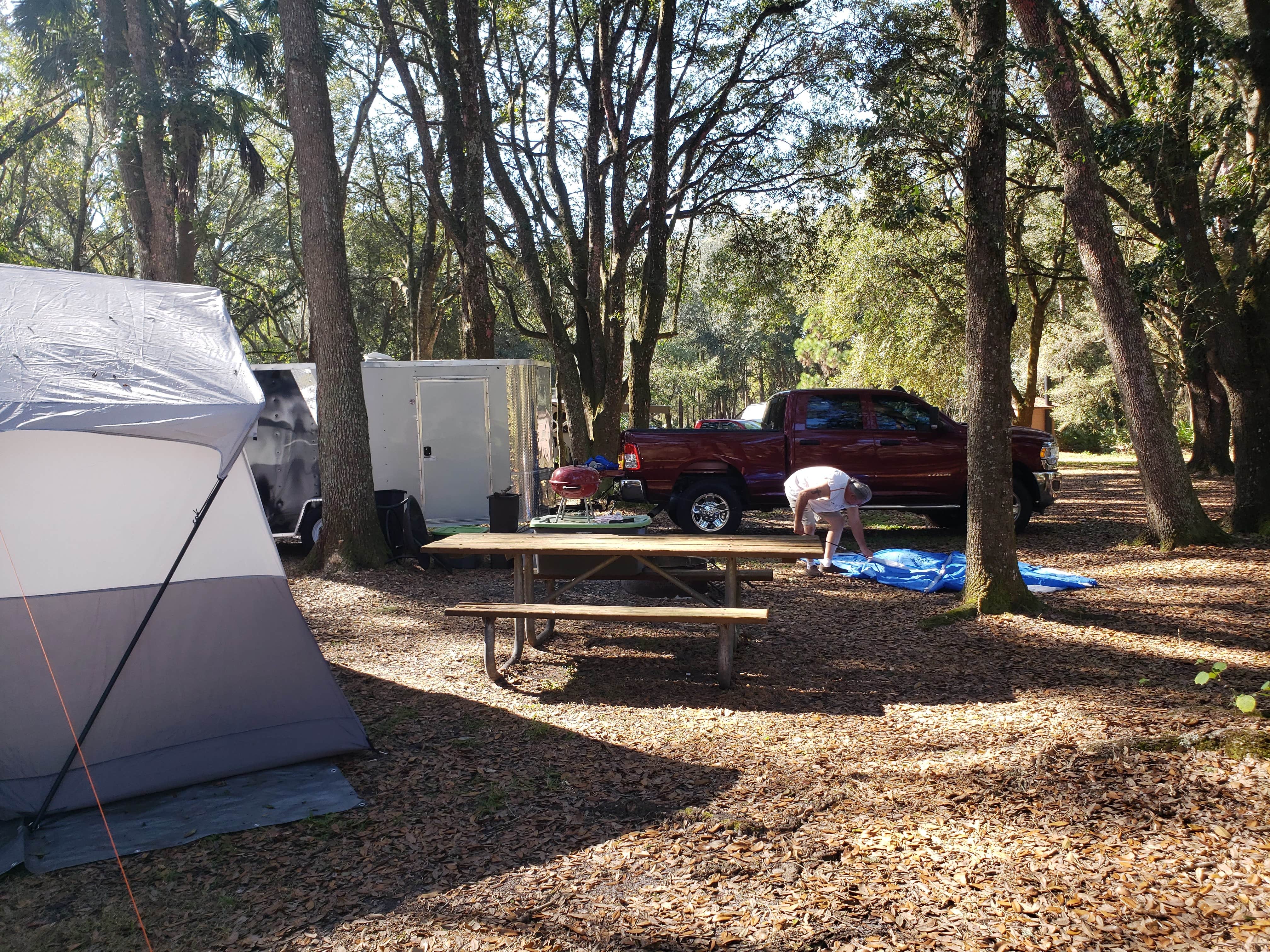 Anita's photo at Green Swamp — Hampton Tract near Zephyrhills, FL
