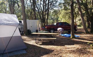 Anita's photo at Green Swamp — Hampton Tract near Polk City, FL