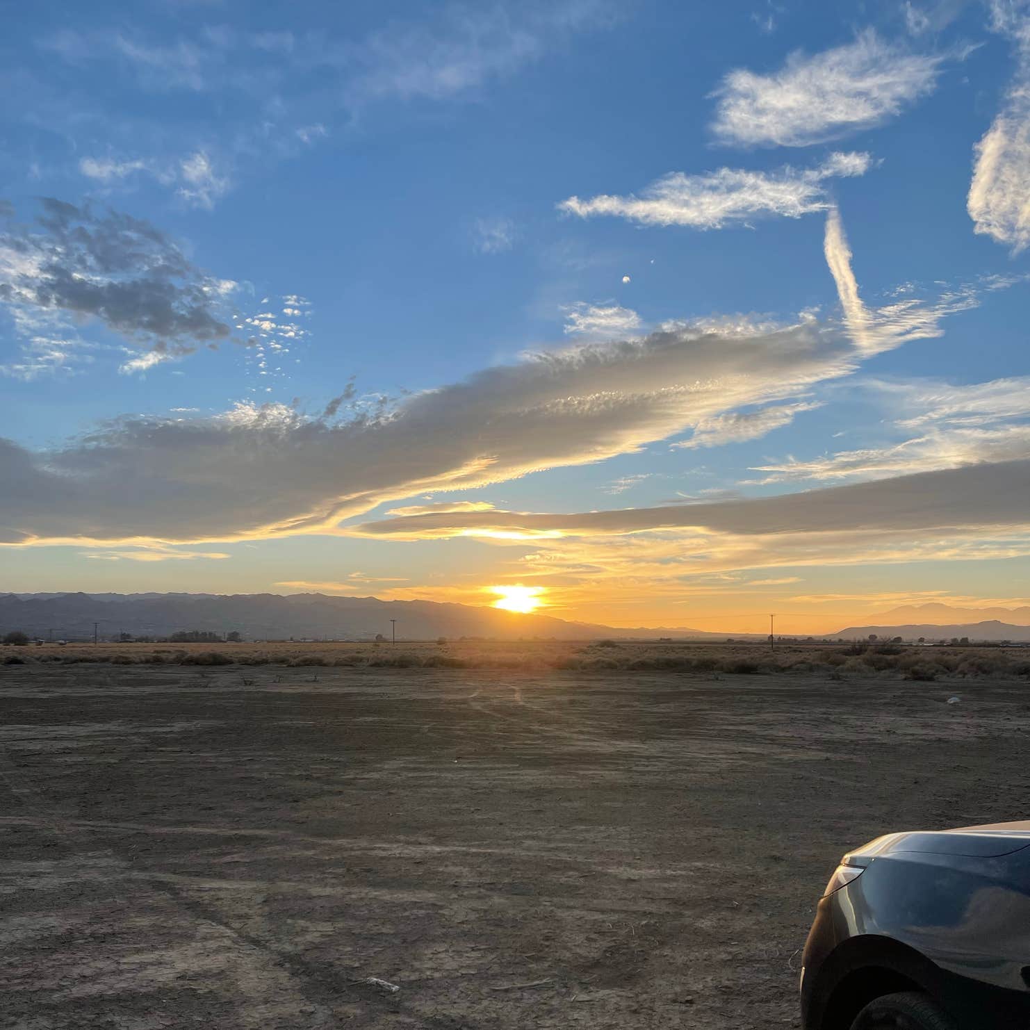 Joshua Tree North BLM Camping The Dyrt