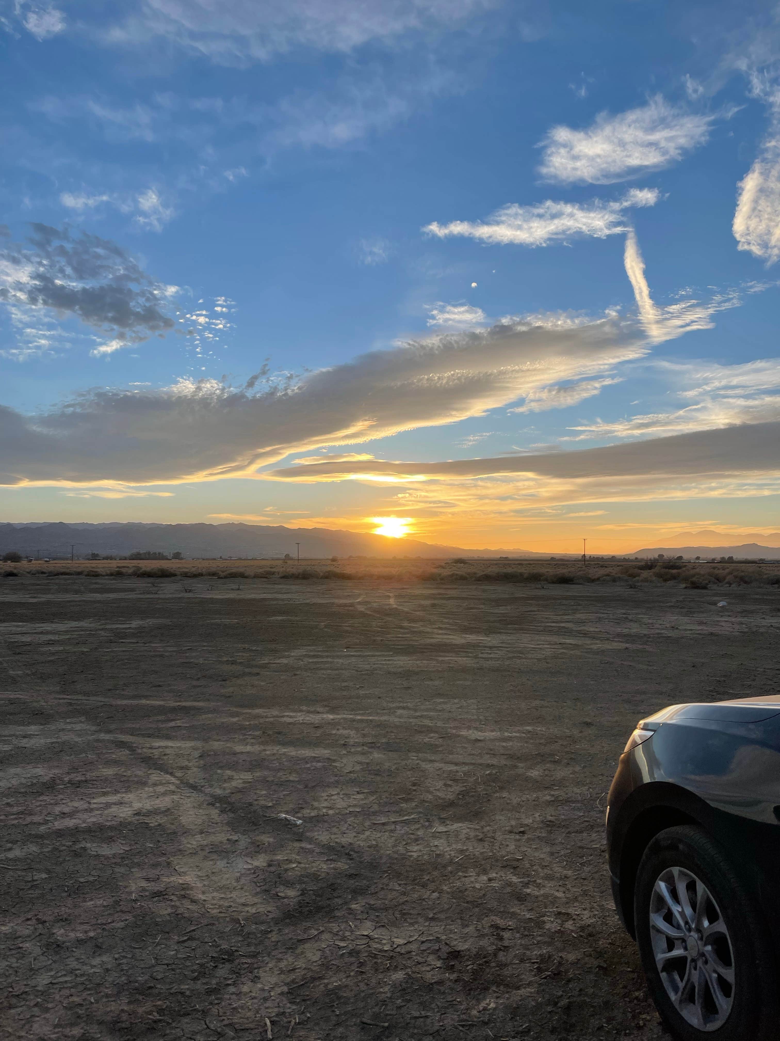 Camper submitted image from Joshua Tree North BLM - 2