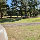 Review photo of Outdoor Adventure Retreats - Wanee Lake Golf & RV by MickandKarla W., January 8, 2022