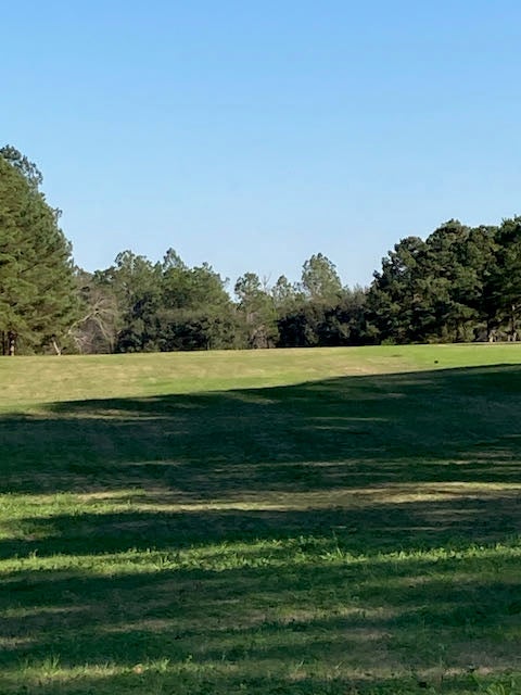 Camper submitted image from Wanee Lake Golf Course & RV Park - 3