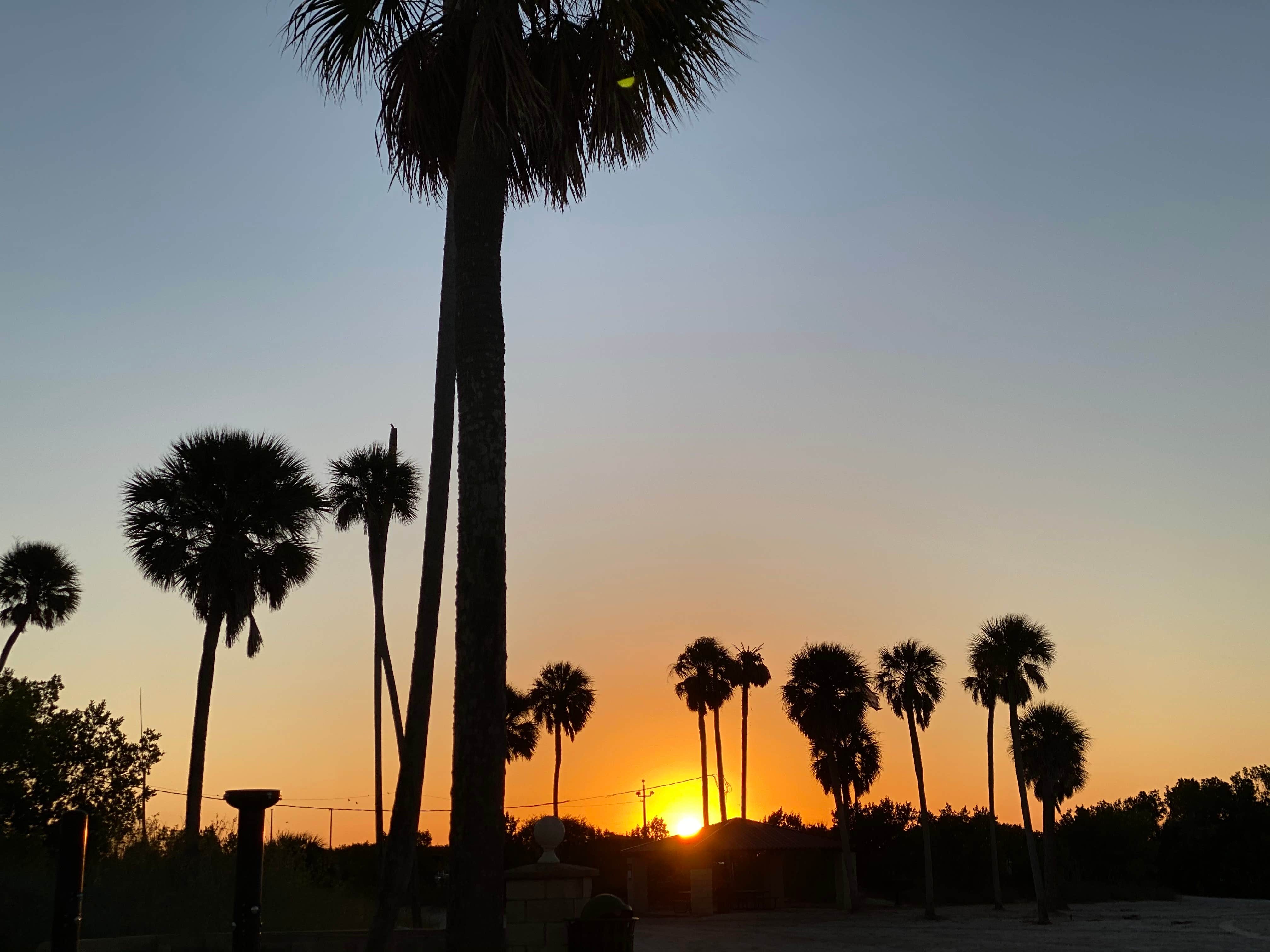 Camper-submitted photo at MacDill AFB FamCamp near Elkton, FL