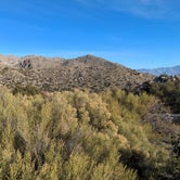 Review photo of Culp Valley Primitive Campground — Anza-Borrego Desert State Park by Herbster , January 8, 2022