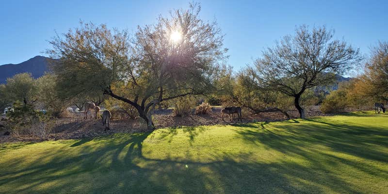 Camper submitted image from Black Meadow Landing