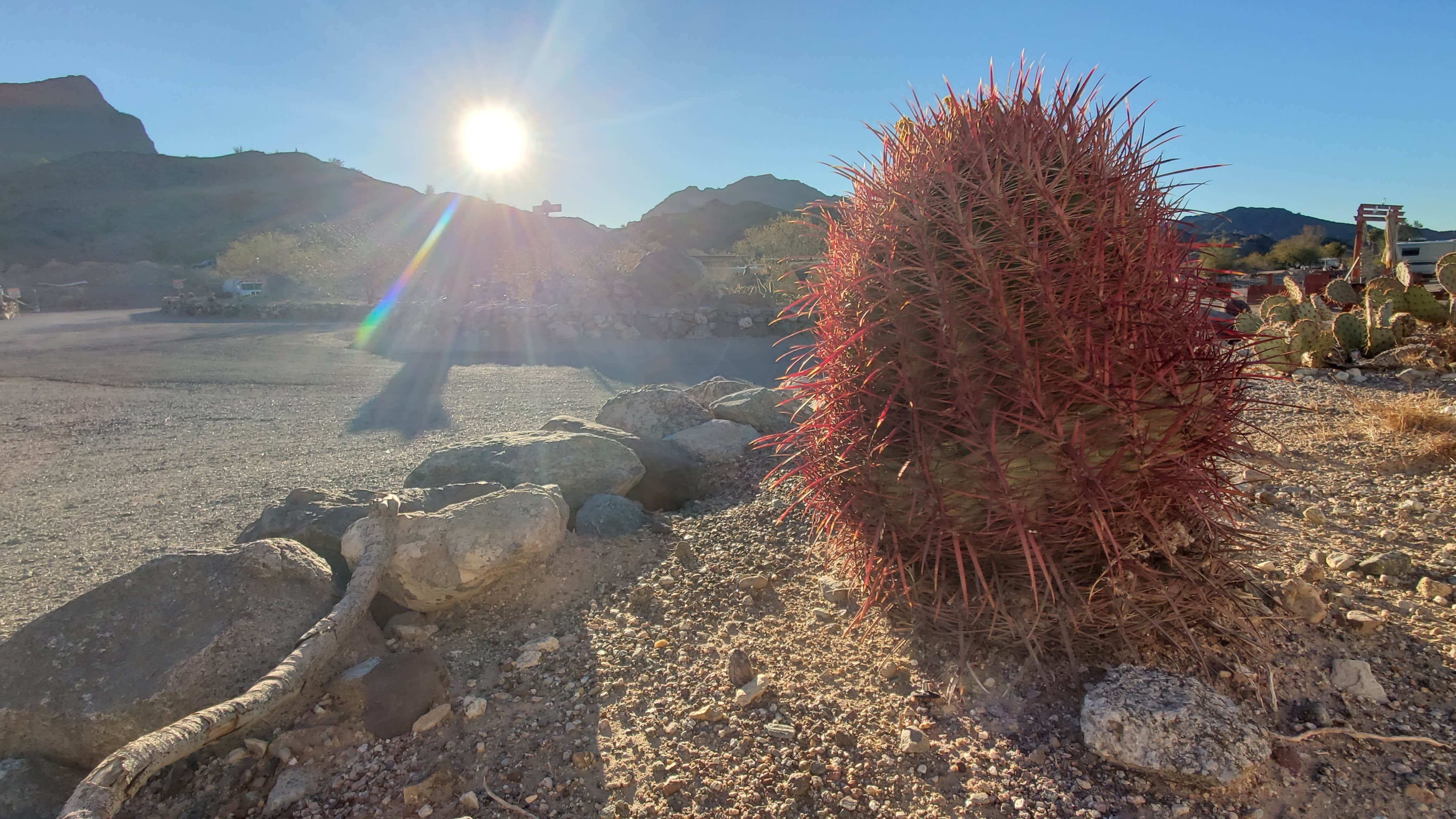 Camper-submitted photo at Black Meadow Landing near Parker Dam, CA